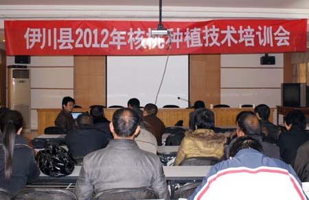 �������ٿ�2012�������ֲ������ѵ��